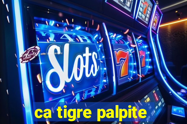 ca tigre palpite