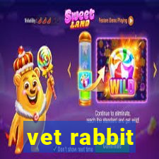 vet rabbit