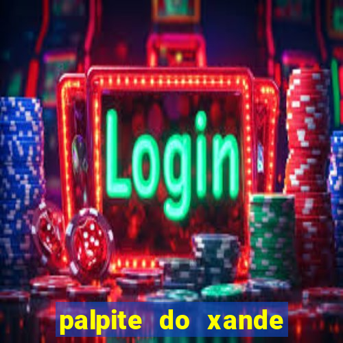 palpite do xande para hoje