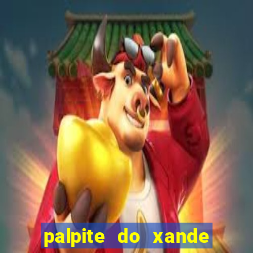 palpite do xande para hoje