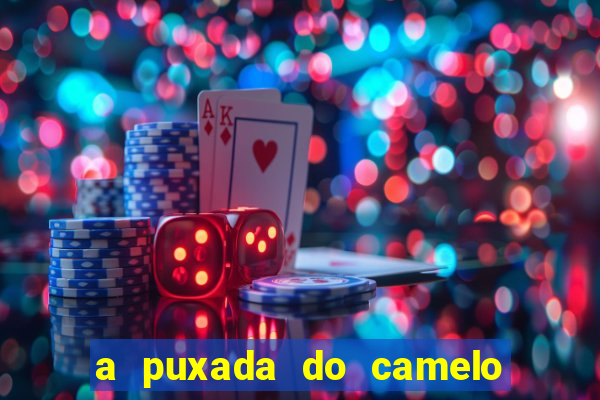 a puxada do camelo no jogo do bicho