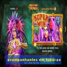 acompanhantes em tubarao