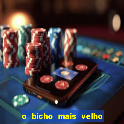 o bicho mais velho da loteria dos sonhos