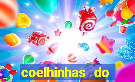 coelhinhas do brasil jp