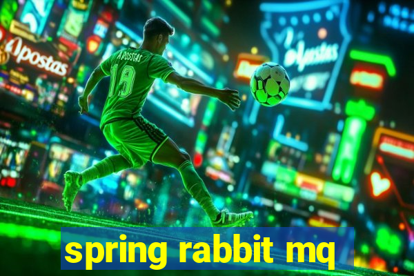 spring rabbit mq