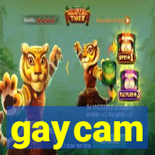 gaycam