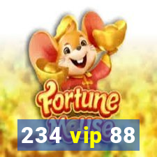 234 vip 88