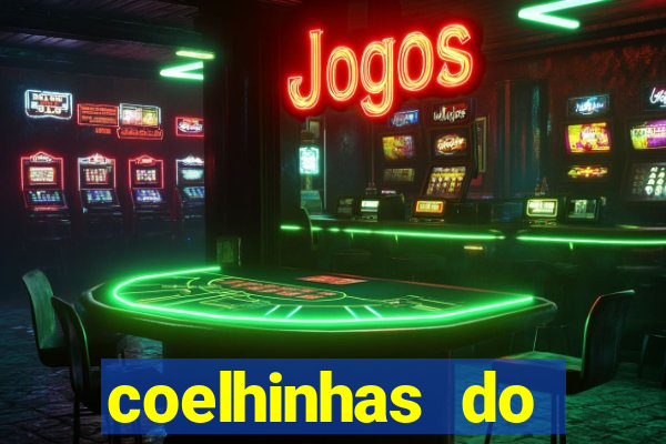 coelhinhas do brasil recife