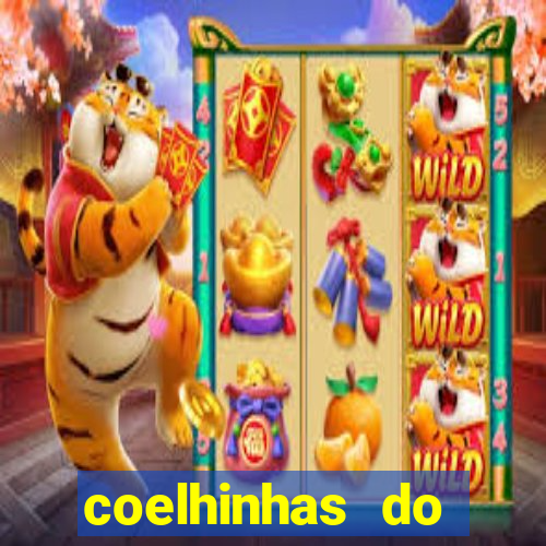 coelhinhas do brasil recife