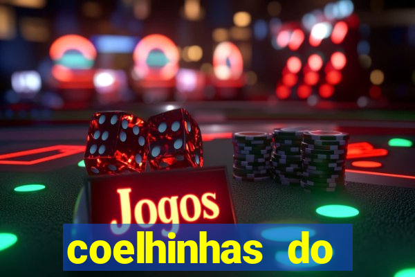 coelhinhas do brasil recife