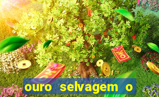 ouro selvagem o que aconteceu na vida