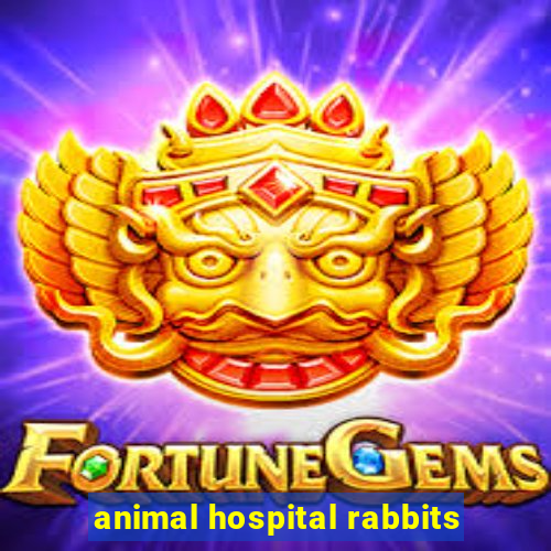 animal hospital rabbits