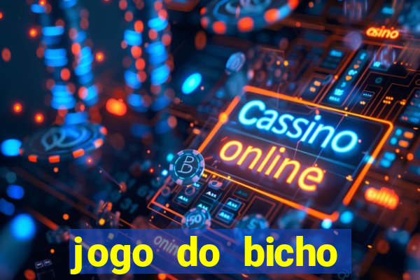 jogo do bicho crash bingo