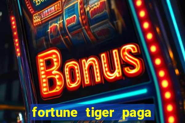 fortune tiger paga de madrugada