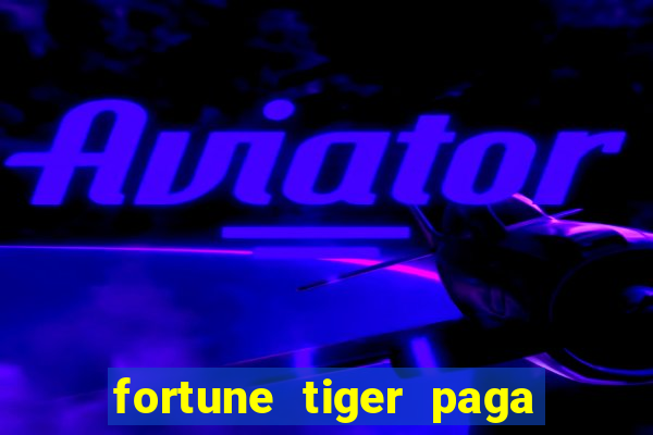 fortune tiger paga de madrugada