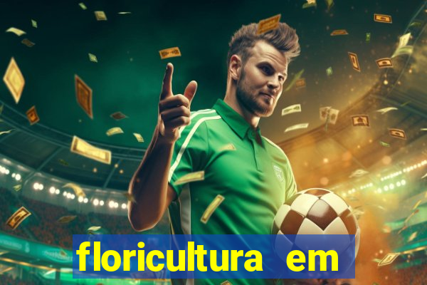 floricultura em lauro de freitas