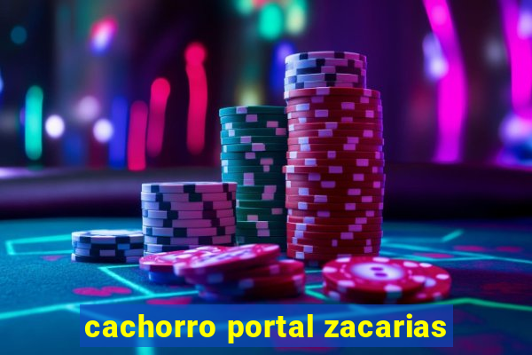 cachorro portal zacarias