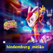 hindemburg melão jr fortuna