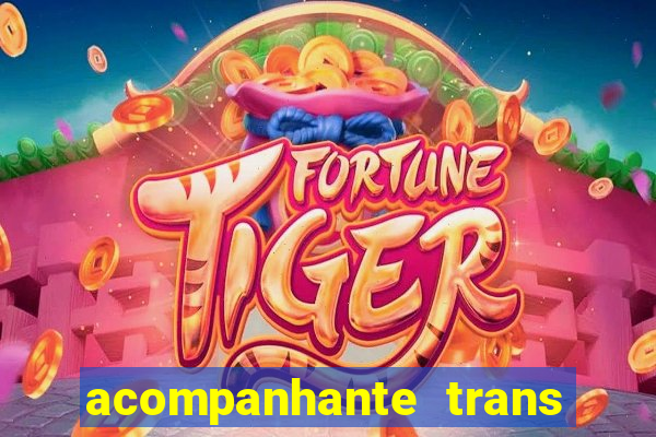 acompanhante trans em santos