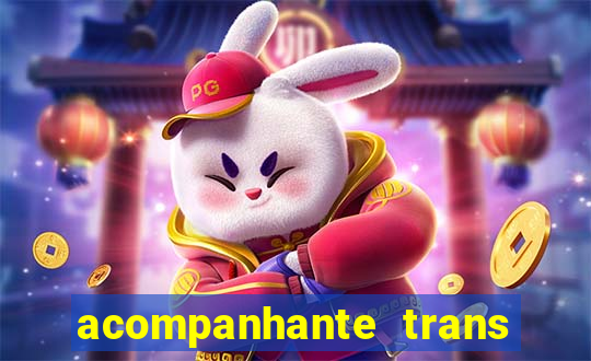 acompanhante trans em santos