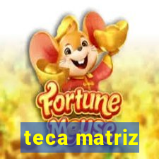 teca matriz