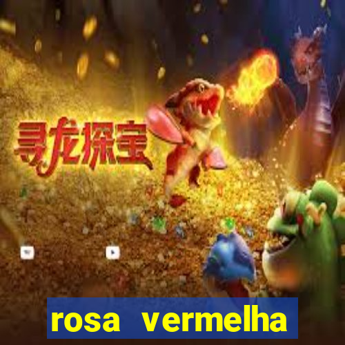 rosa vermelha (letra e cifra)