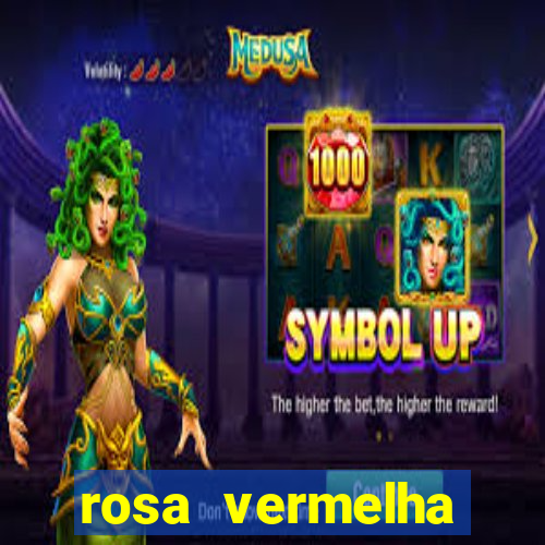 rosa vermelha (letra e cifra)