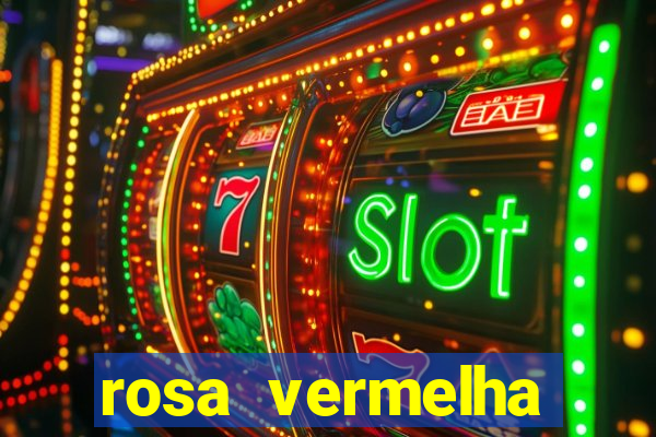 rosa vermelha (letra e cifra)