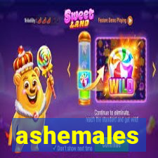 ashemales