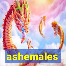 ashemales