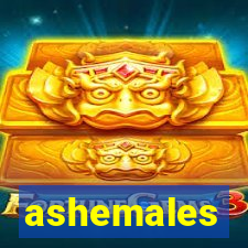 ashemales