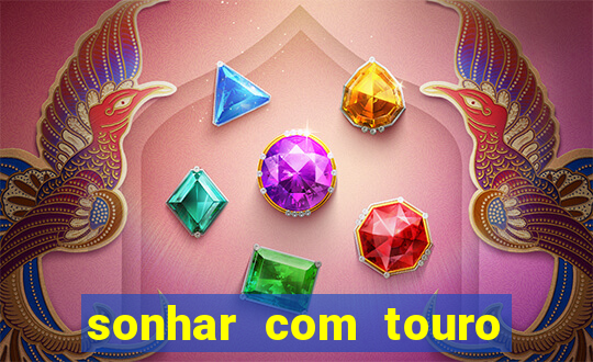 sonhar com touro bravo no mundo espiritual