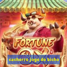 cachorro jogo do bicho