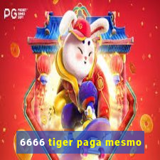 6666 tiger paga mesmo