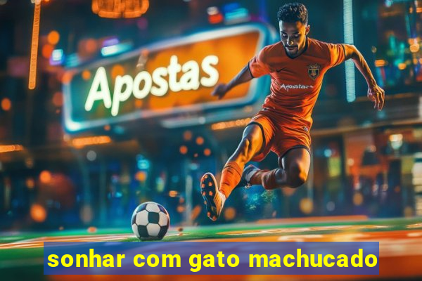 sonhar com gato machucado