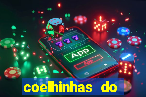 coelhinhas do brasil site