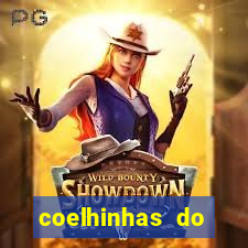 coelhinhas do brasil site