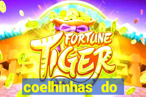 coelhinhas do brasil site