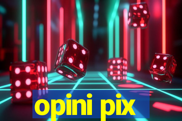 opini pix