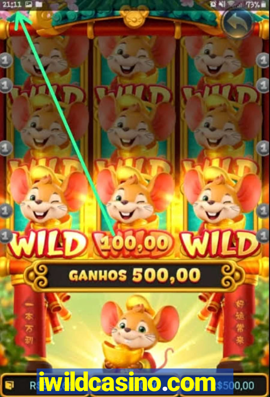 iwildcasino.com