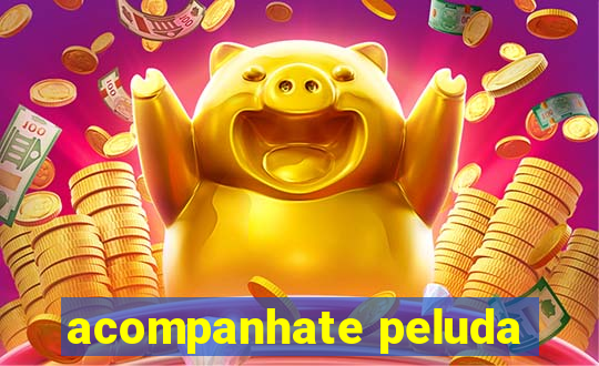 acompanhate peluda