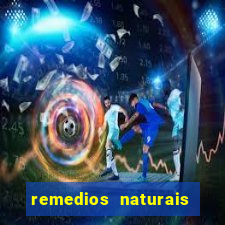 remedios naturais para diabetes