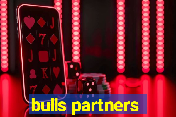 bulls partners