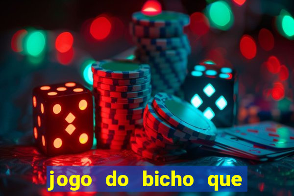 jogo do bicho que paga no pix