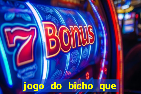 jogo do bicho que paga no pix