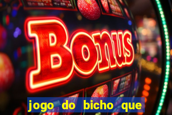 jogo do bicho que paga no pix