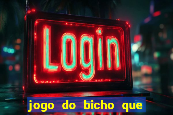 jogo do bicho que paga no pix