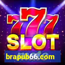 brapub66.com