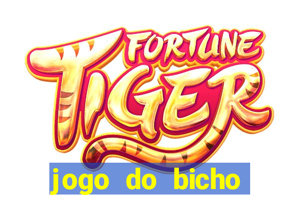 jogo do bicho feira de santana