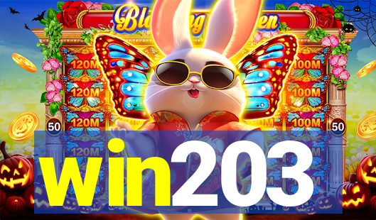 win203